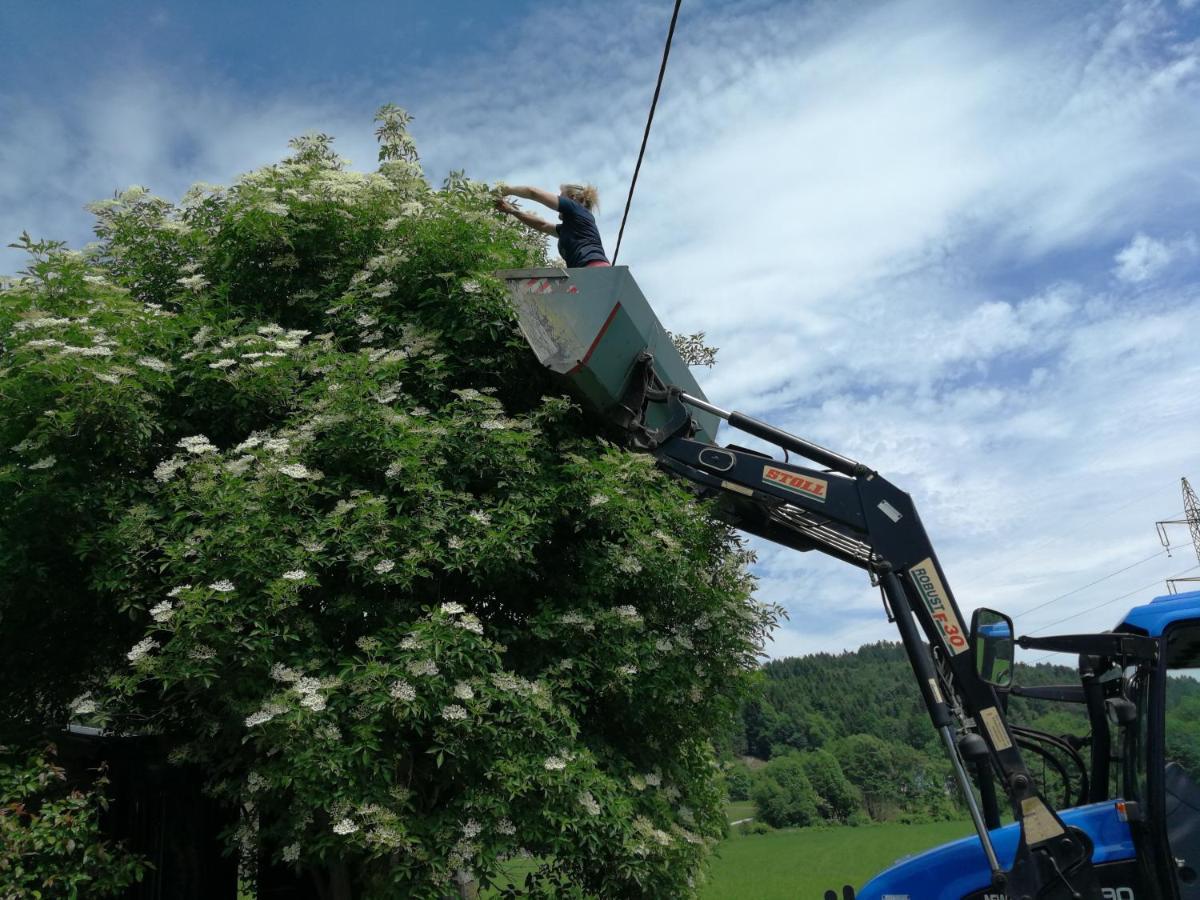 Ferienwohnungen Oranhof เวลเดน อัม เวิร์ทเทอร์ซี ภายนอก รูปภาพ