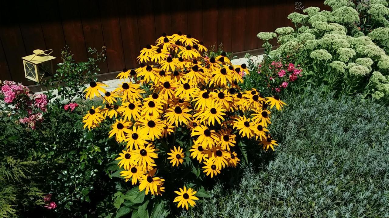 Ferienwohnungen Oranhof เวลเดน อัม เวิร์ทเทอร์ซี ภายนอก รูปภาพ